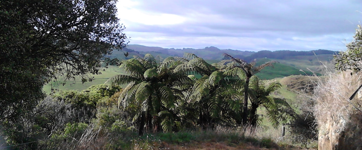 Farm Minder services House Sitting Town and country — Pet Care Services in Waipawa