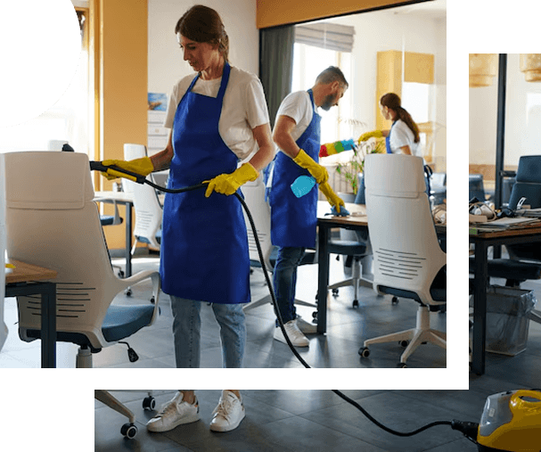 Clean Bees — Commercial Cleaning Services in Albany
