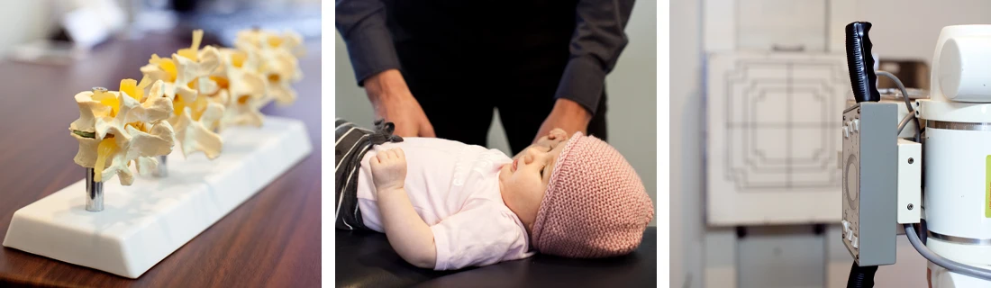 Mount Maunganui Chiropractic — Chiropractors in Mount Maunganui