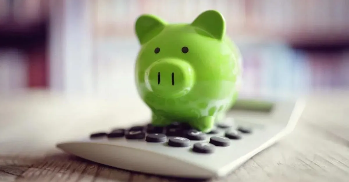 Tael Solutions — Financial Services in Glen Eden