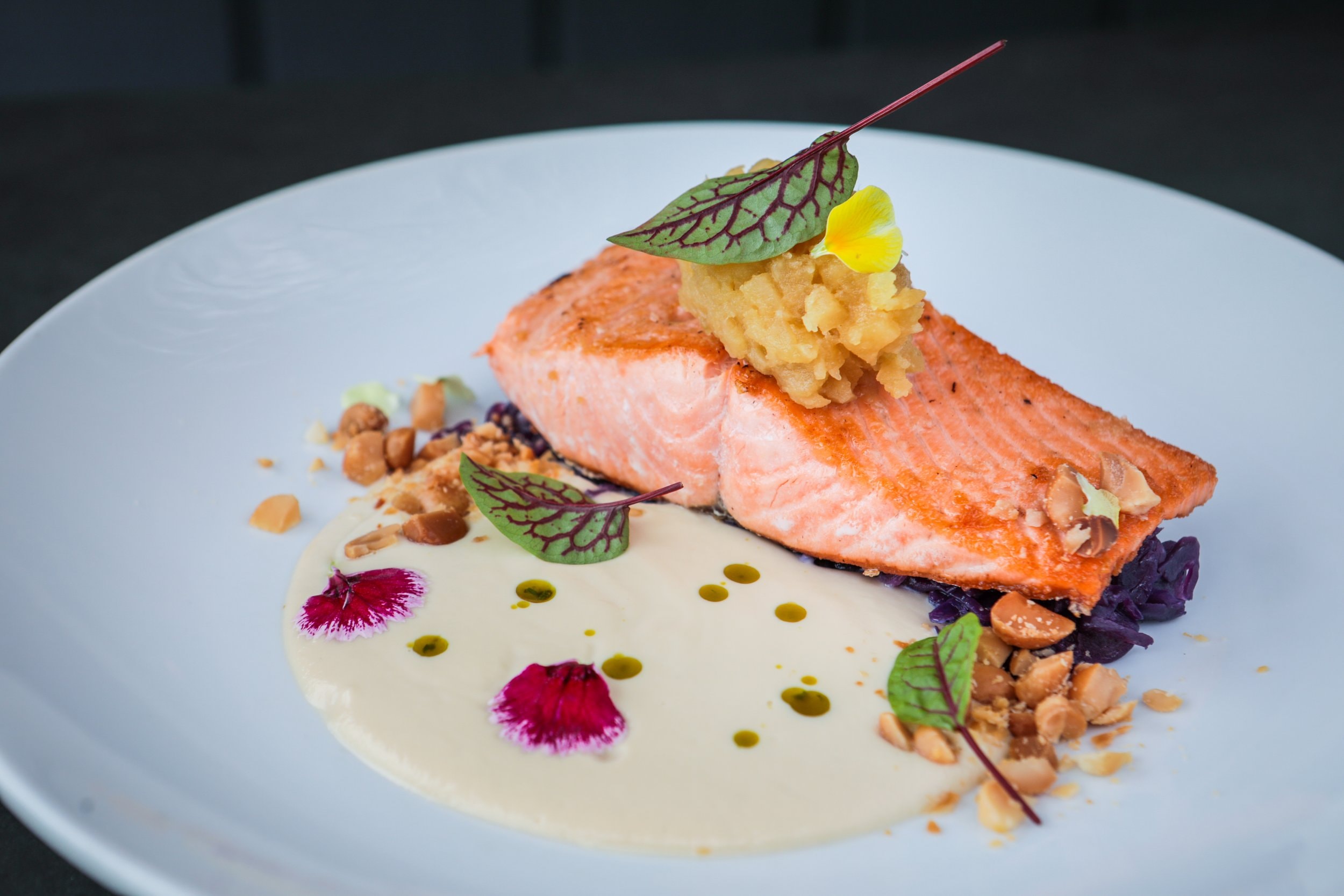 Aihe — Restaurants in Akaroa