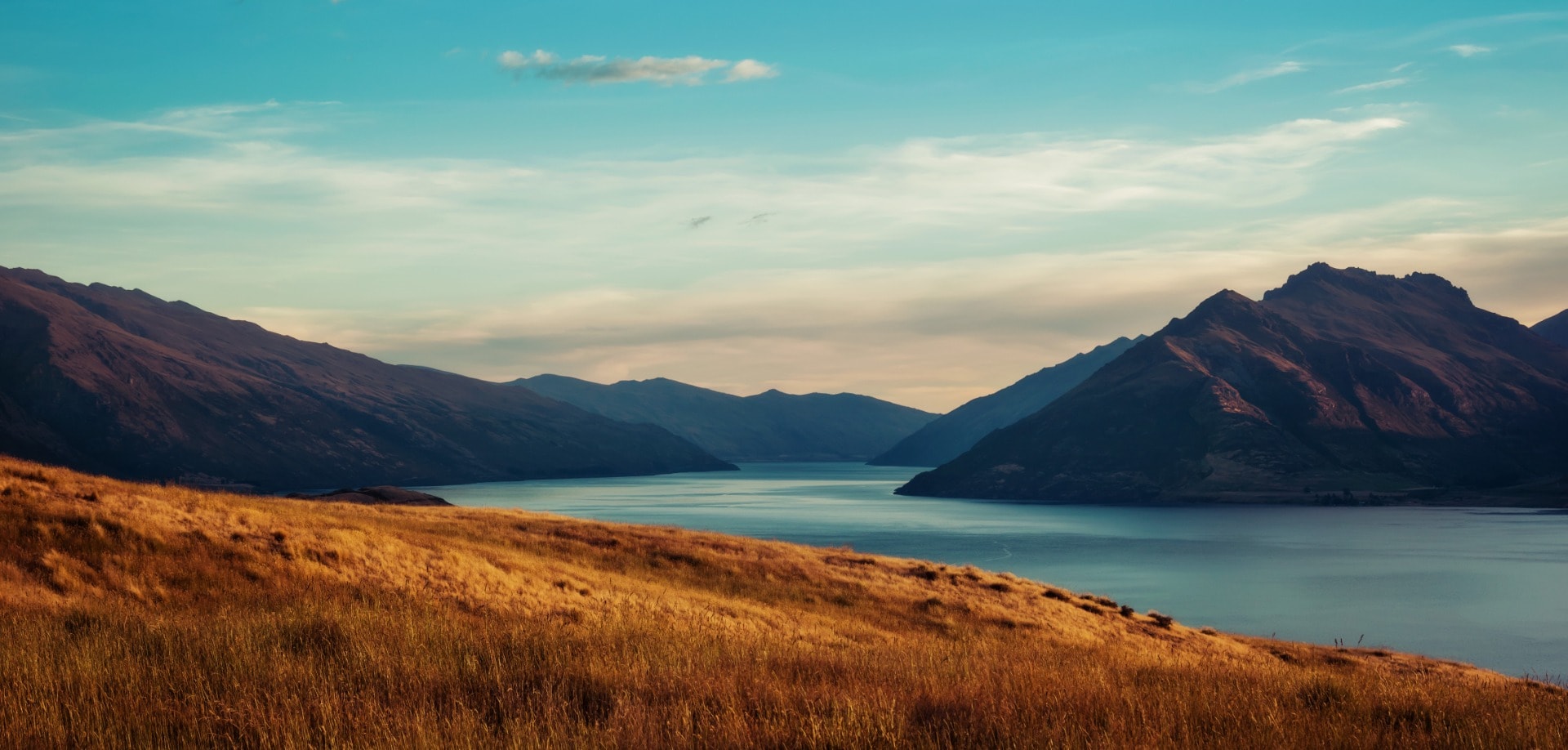 Carver Insurance — Financial Services in Otago