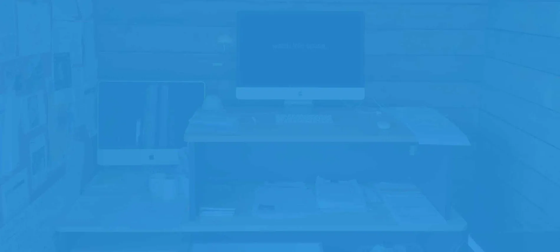 Frog Web Works — Website Designers in Lyttelton