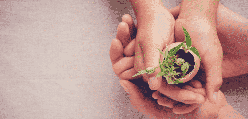 Kauri Montessori — Childcare Centres in Nelson