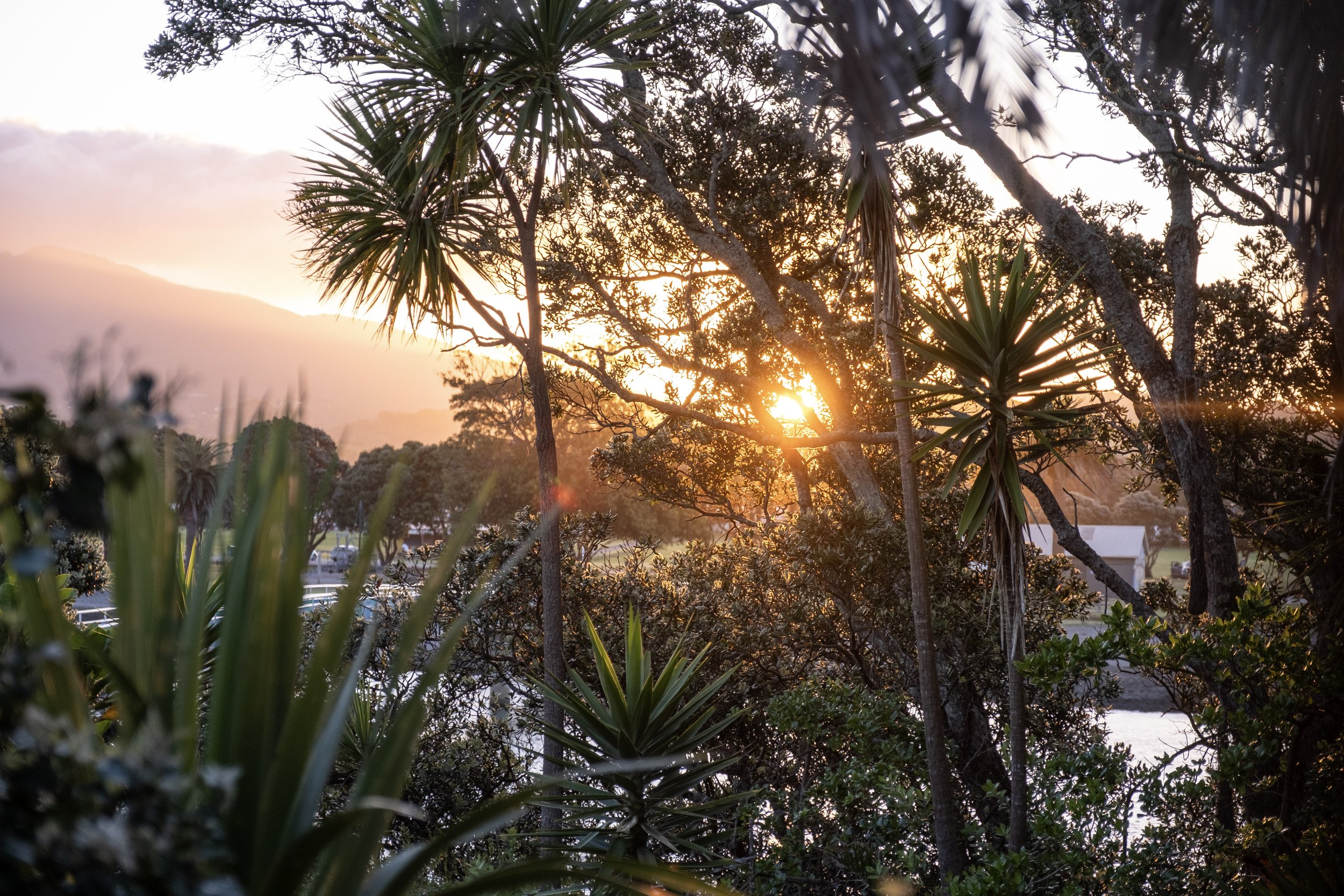 Bow Street Studios — Accommodation in Raglan