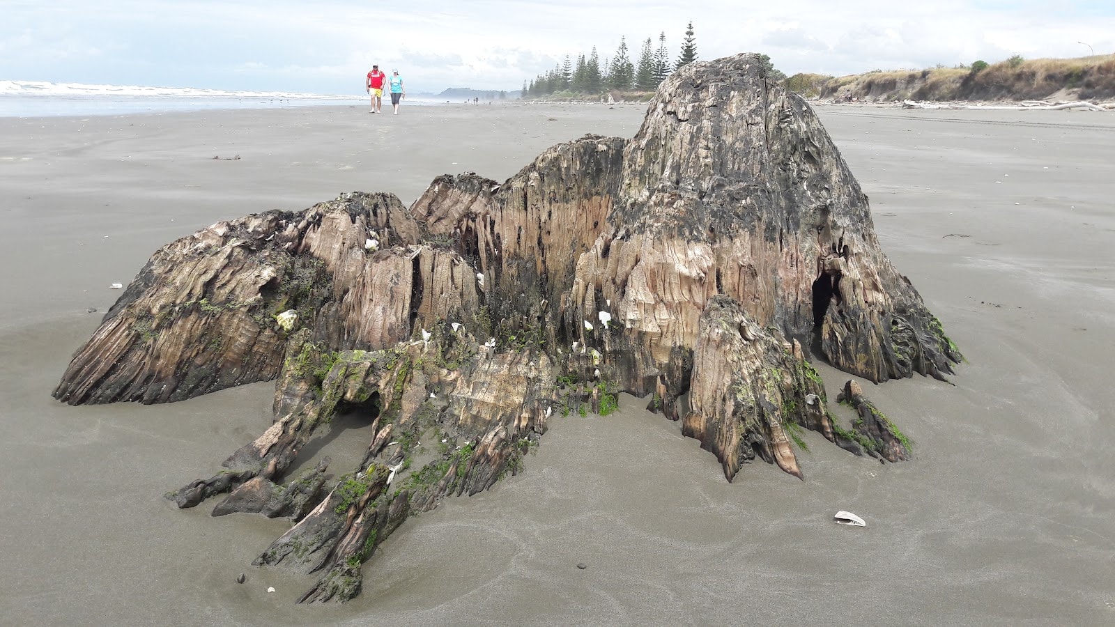 Earth Art Landscaping — Landscaping Services in Whakatāne