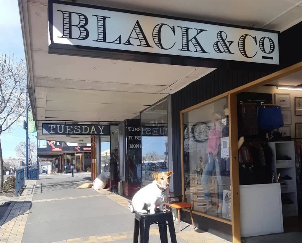 Black & Co + Tuesday — Clothing Stores in Timaru