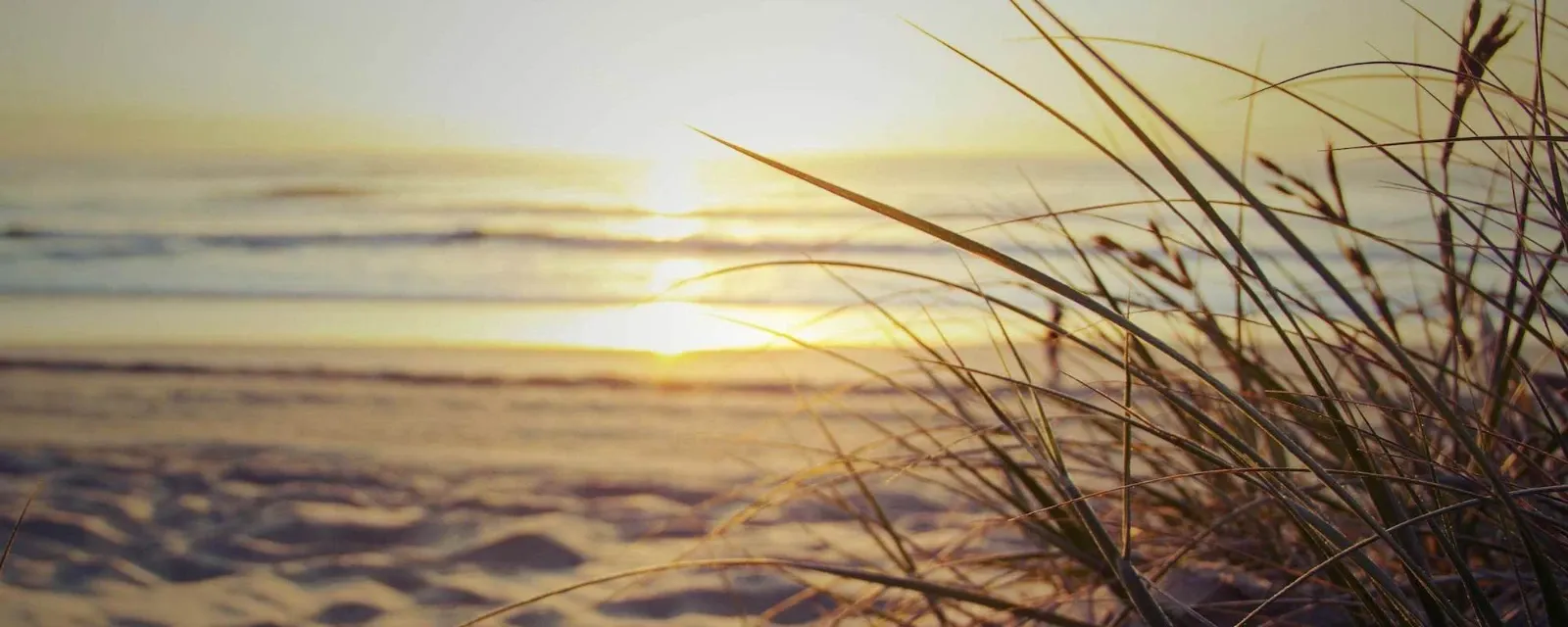 Vanessa Lei — Photographers in Palmerston North