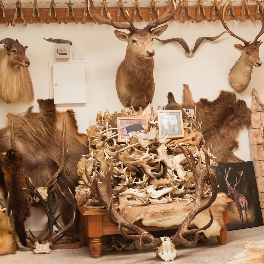 Basecamp Salamis — Butchers in Aongatete