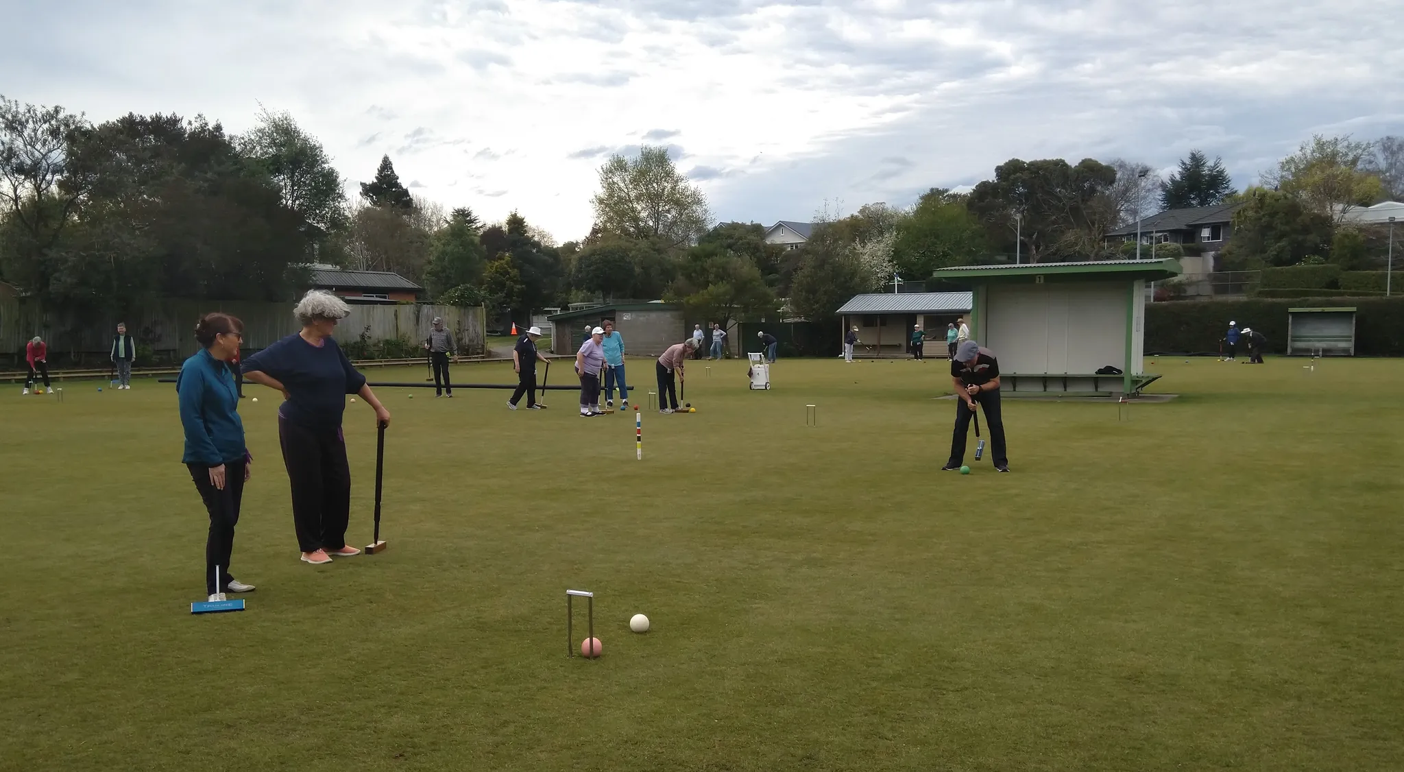 Cashmere Croquet Club — Sport & Recreation in Christchurch