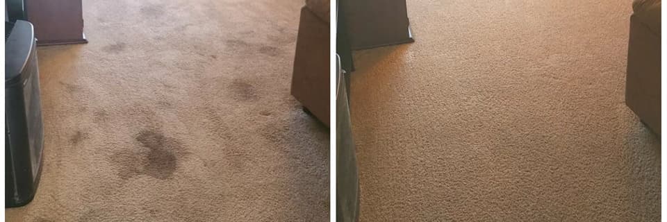 Nick's Carpet Cleaning — Cleaning Services in Ōamaru