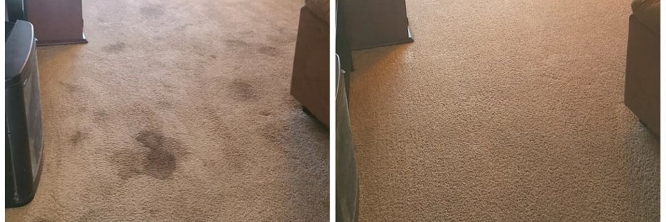 Nick's Carpet Cleaning — Cleaning Services in Ōamaru
