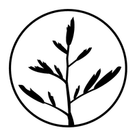 Harakeke Florist