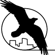RAVEN Architecture