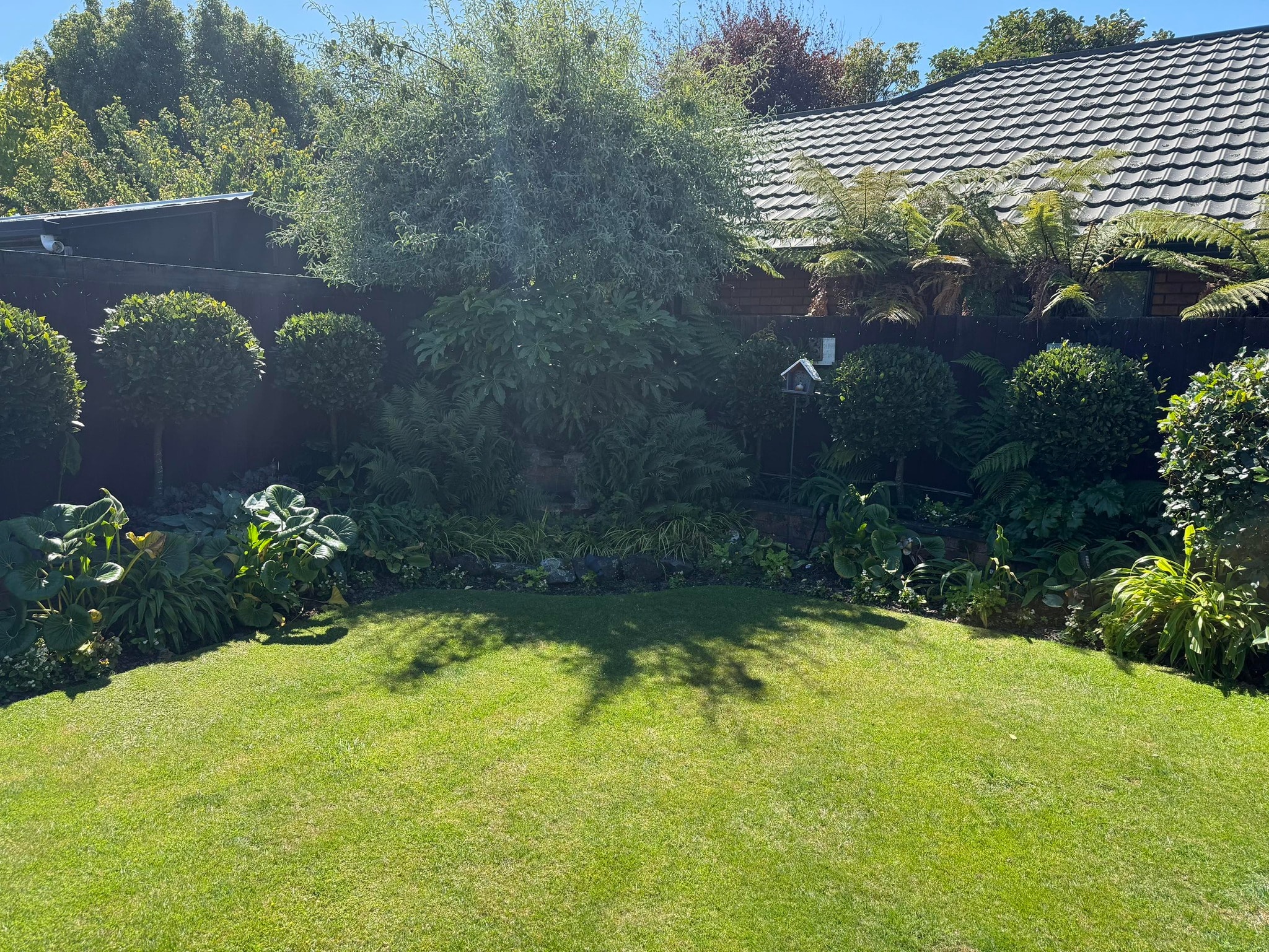 Thrive Lawn and Garden Service — Gardening Services in Christchurch
