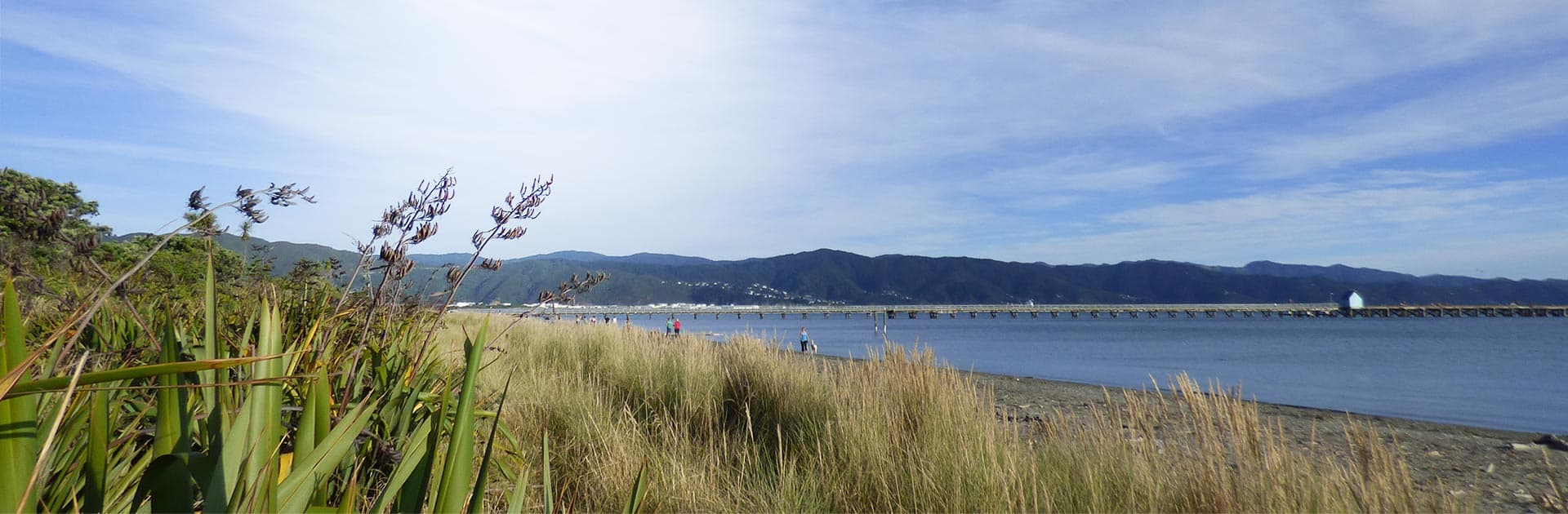 83 By The Sea MotorLodge — Accommodation in Lower Hutt