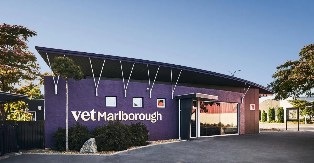 Vet Marlborough — Vets in Blenheim