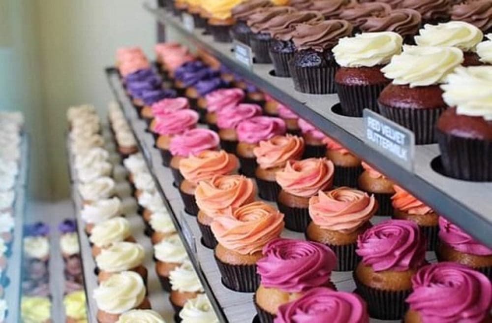 Petal Cupcakes — Bakeries in Wellington