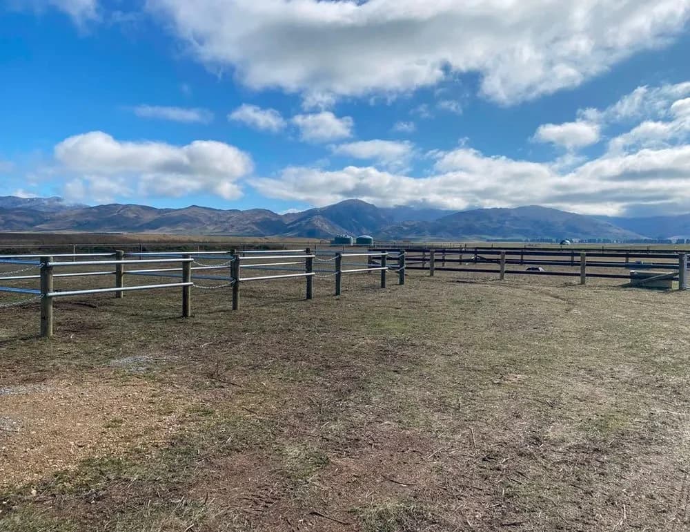 Central Lakes Equine — Vets in Queenstown