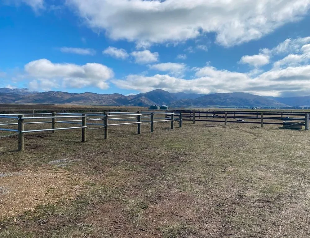 Central Lakes Equine — Vets in Alexandra Bookings and Office