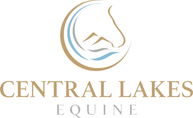 Central Lakes Equine — Vets in Queenstown
