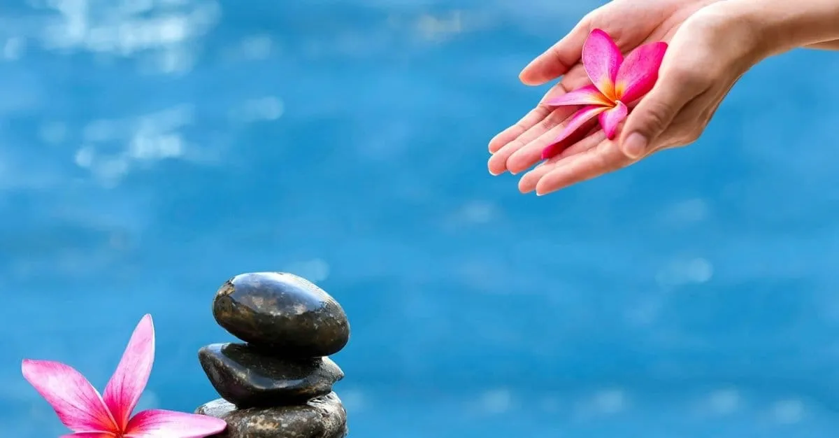 Ebb & Flow Natural Therapy Studio — Massage Therapists in Wellington