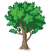 Branch Manager Tree Services