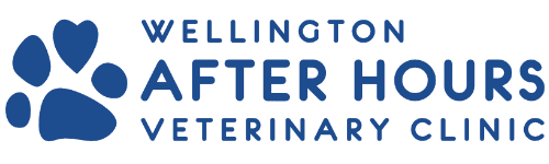 Wellington After Hours Veterinary Clinic