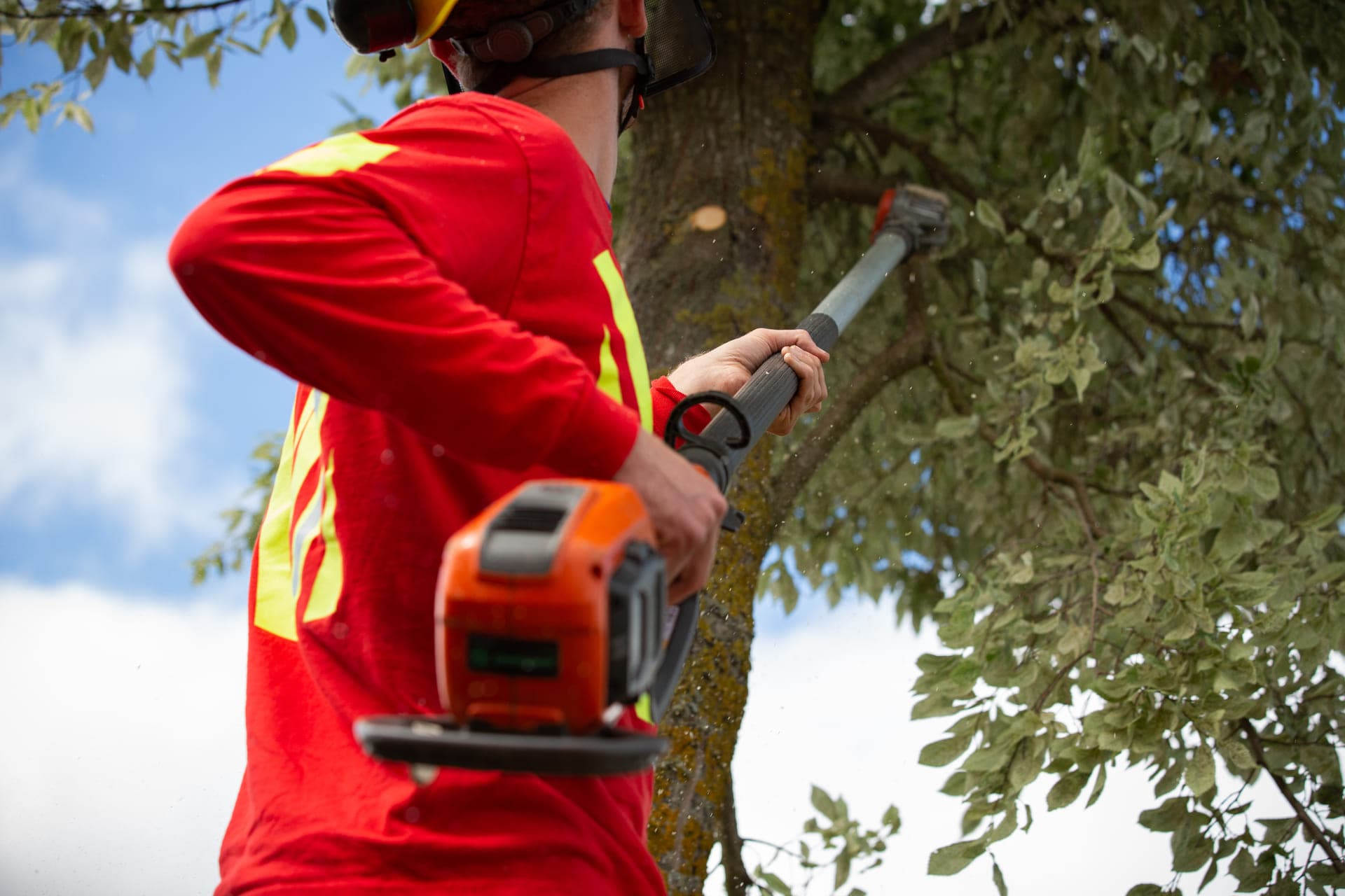 Treetech — Arborists in Christchurch