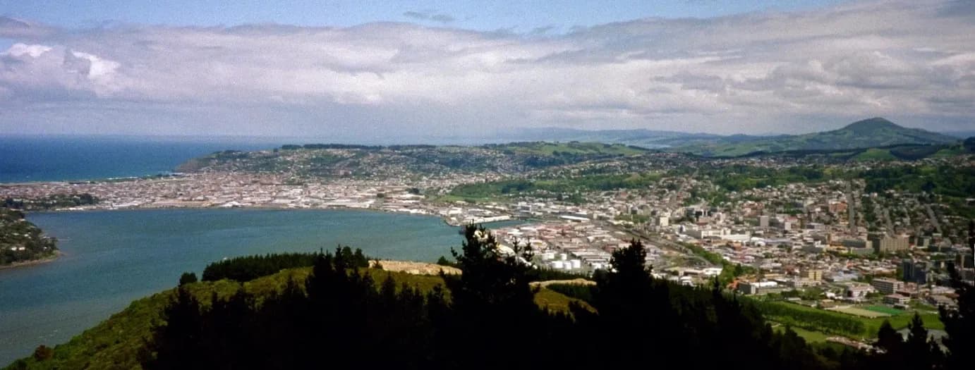 Cook North & Wong — Accountants in Dunedin