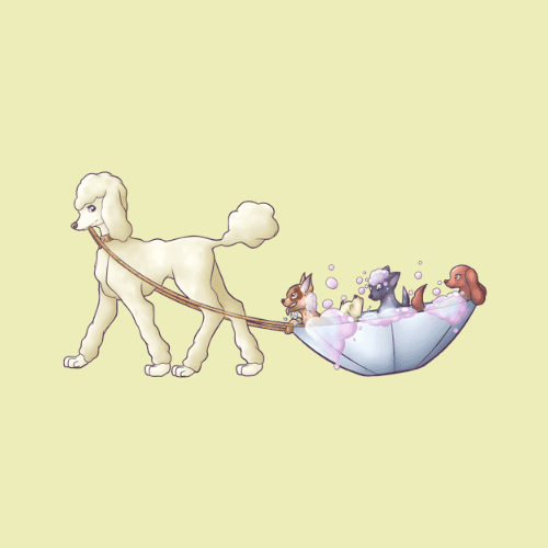 K9 Grooming logo