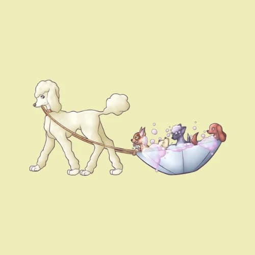 K9 Grooming