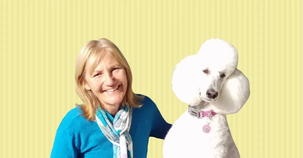 K9 Grooming — Dog Groomers in Richmond
