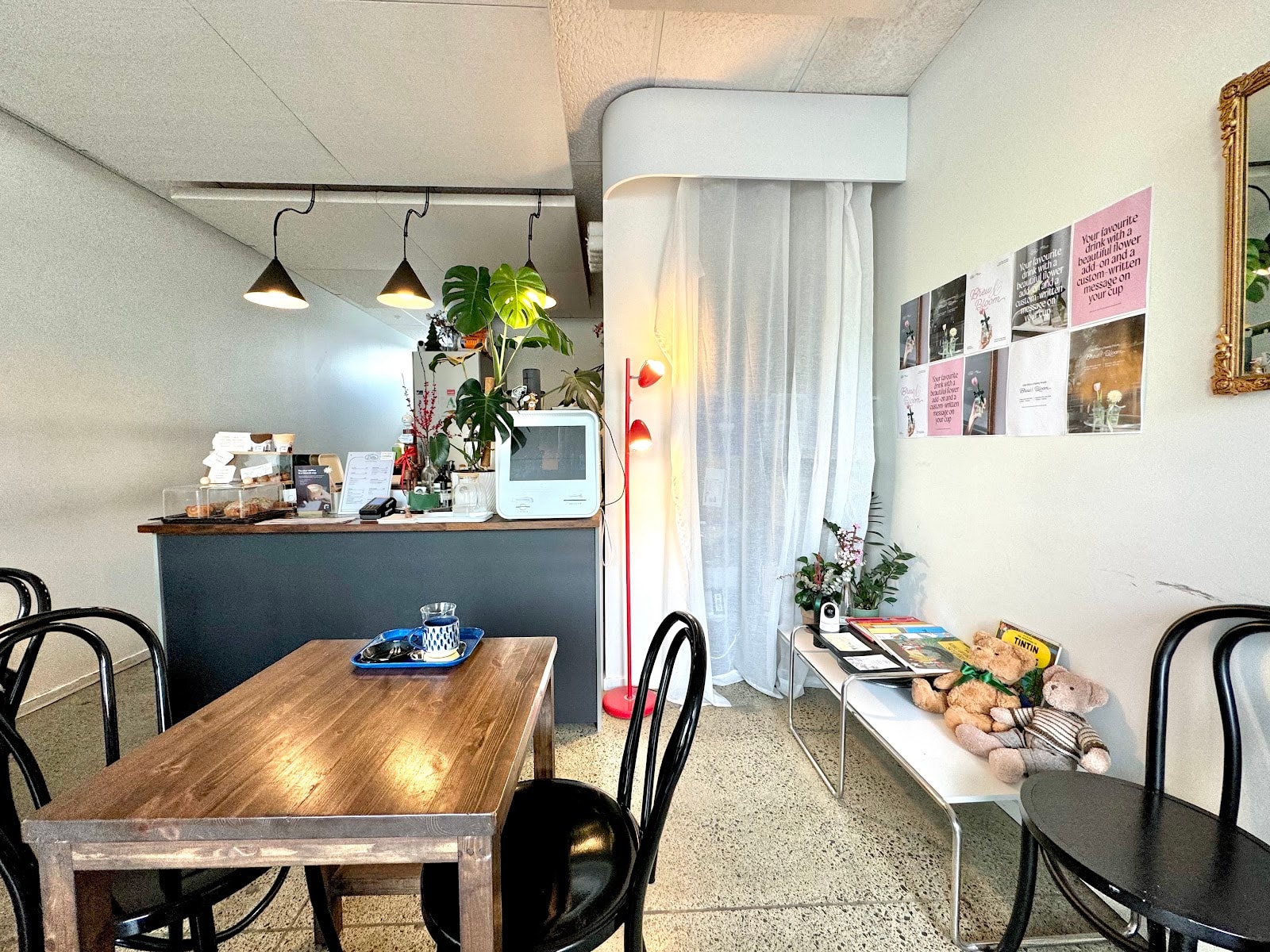 Ditto — Online Stores in Auckland