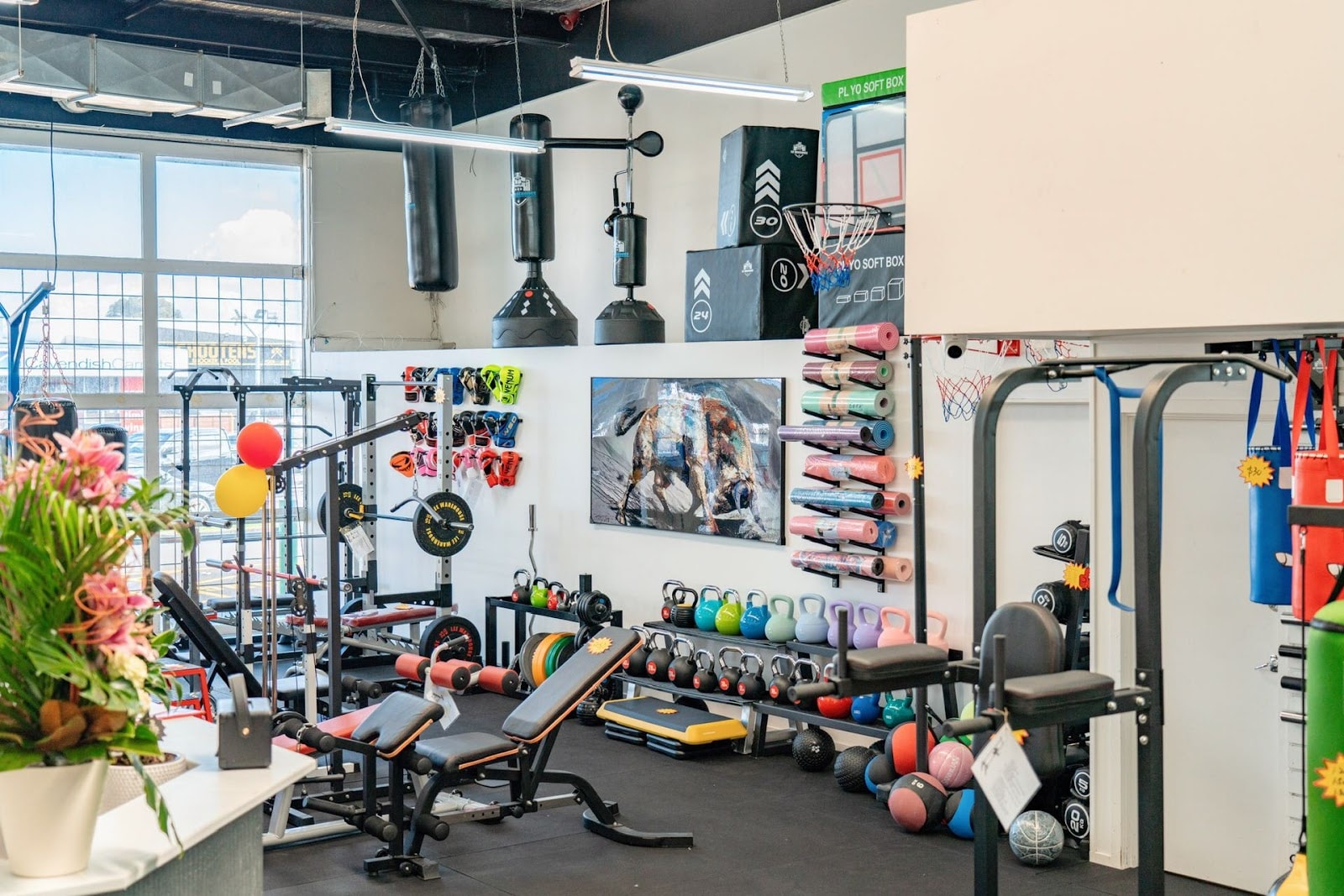 Lee Warehouse — Sporting Goods in Auckland