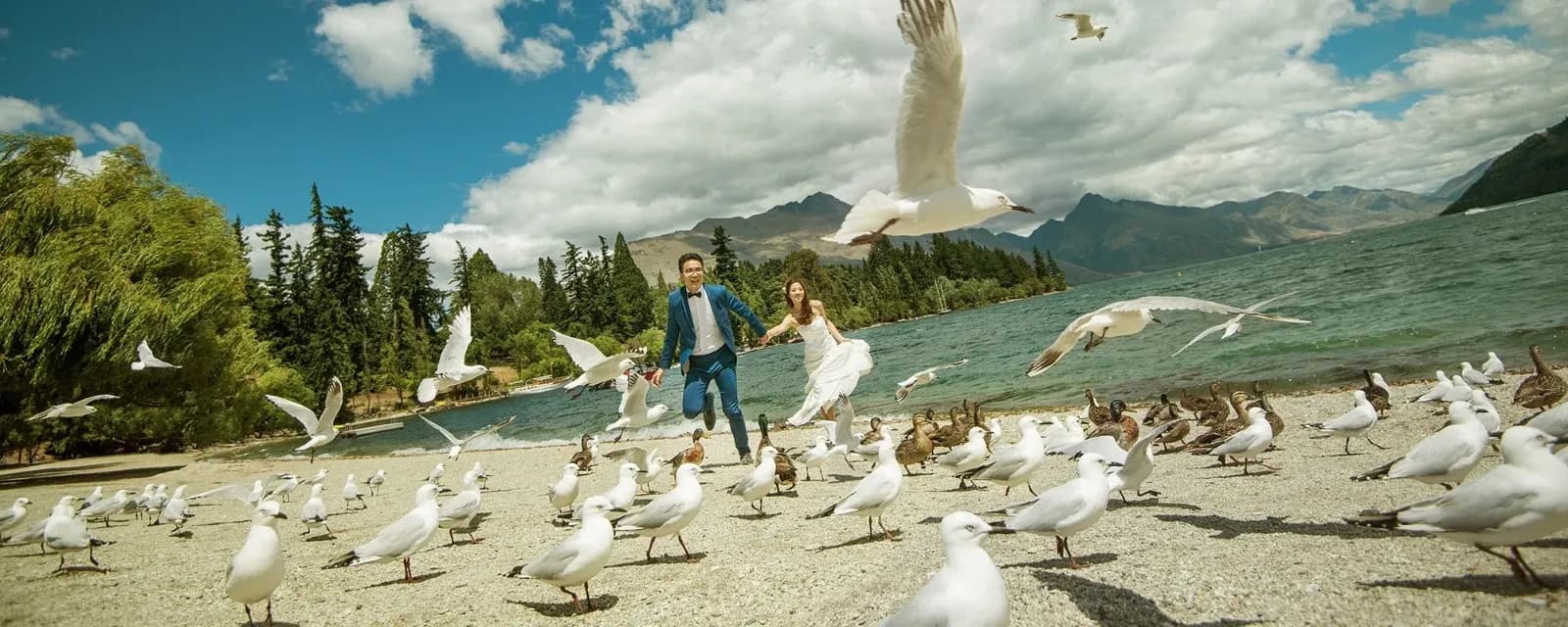 MS Photography — Photographers in Auckland