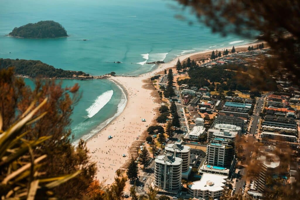 The House Inspector — Professional Services in Tauranga