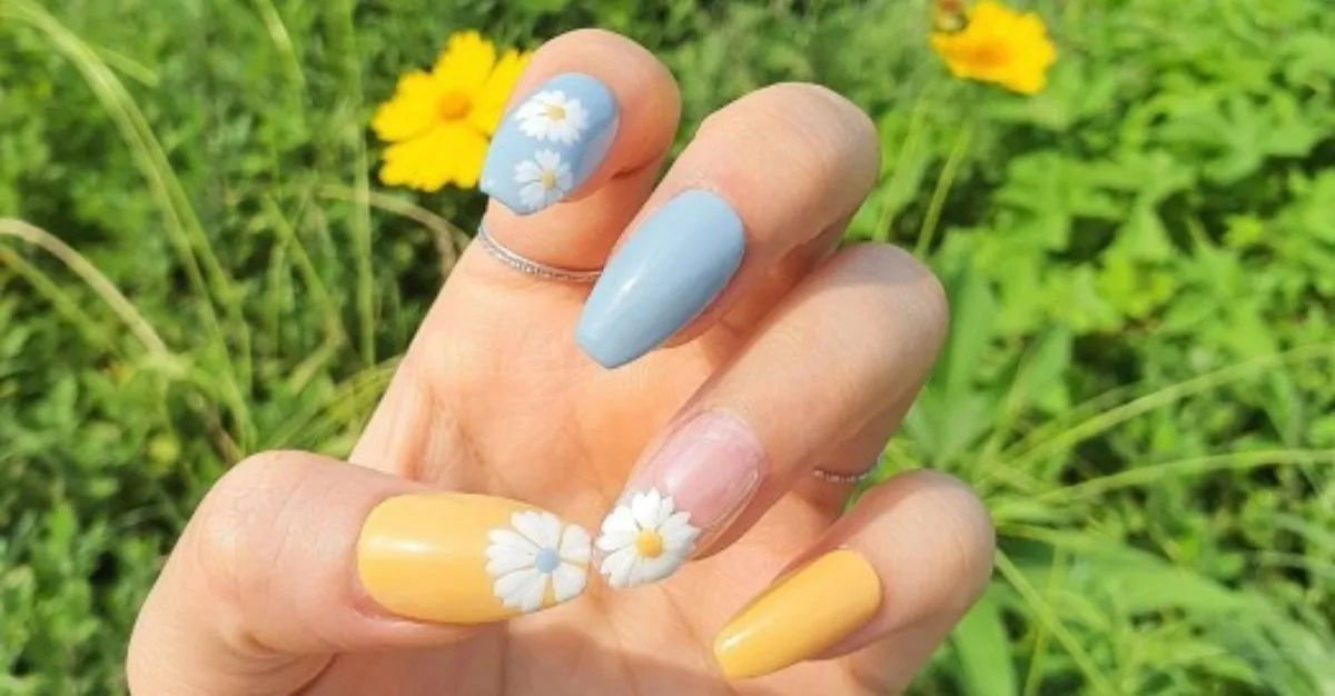 Daisy Nail, Hair and Beauty — Nail Salons in Palmerston North