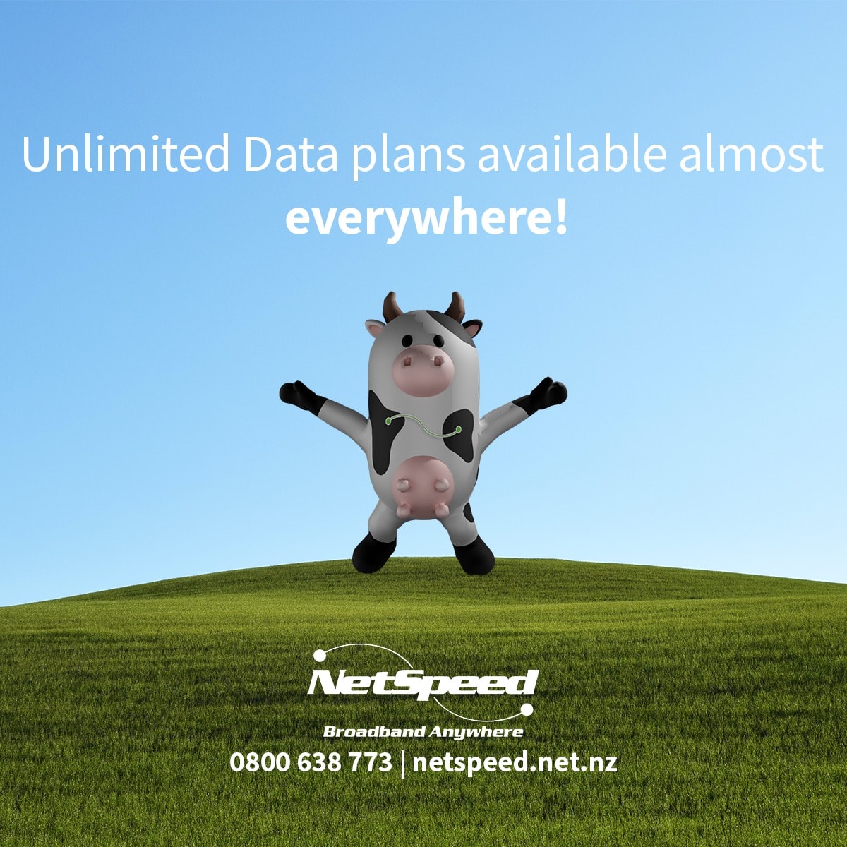 Netspeed NZ — Internet Services in Dunedin