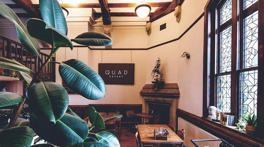Quad Eatery — Café in Christchurch