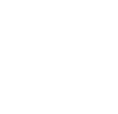 Paramount Pools Hamilton