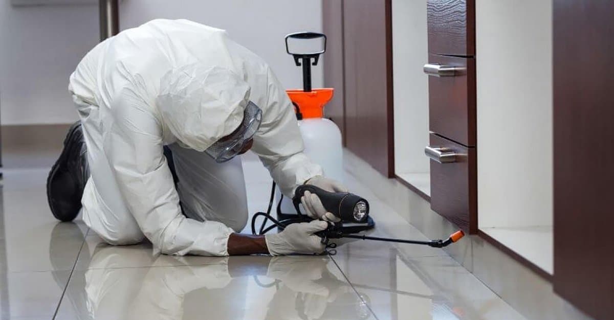 Fireshire Pest Control