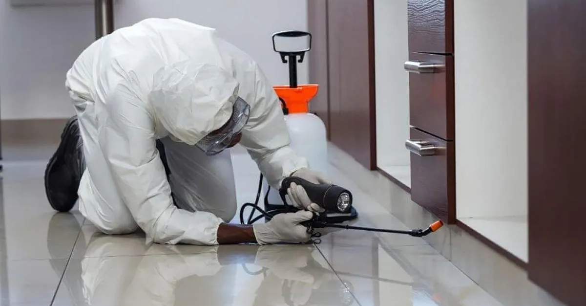 Fireshire Pest Control — Pest Control Services in Christchurch