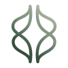 Aligned Chiropractic Kapiti