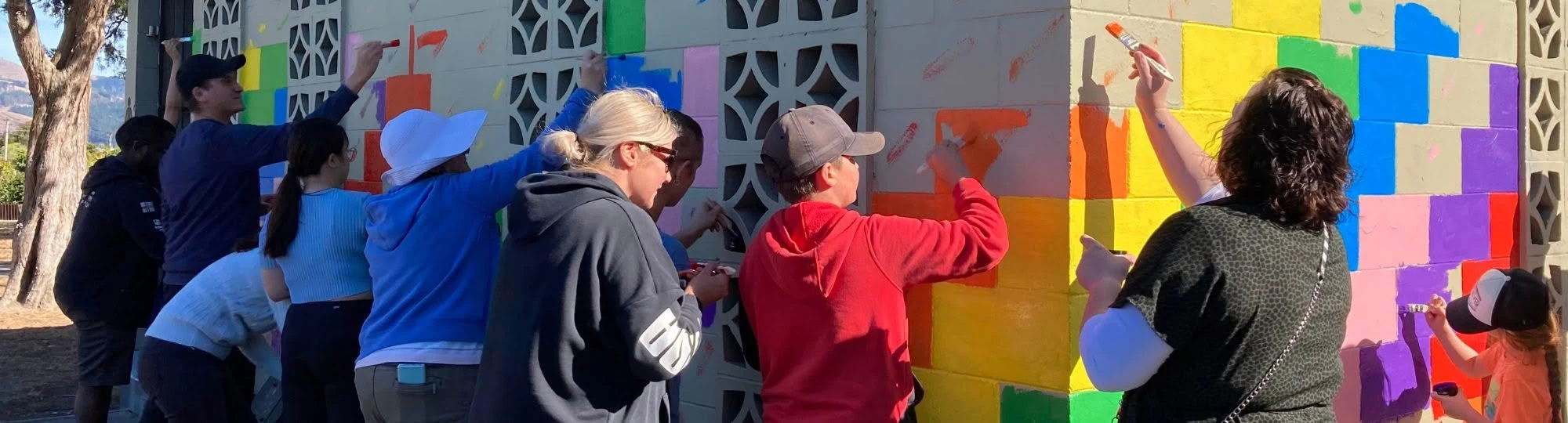 Volunteering Canterbury — Non Profit Organisations in Selwyn