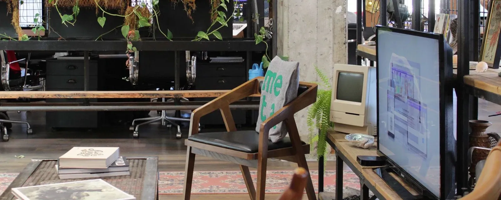Meta Digital — Website Designers in Christchurch