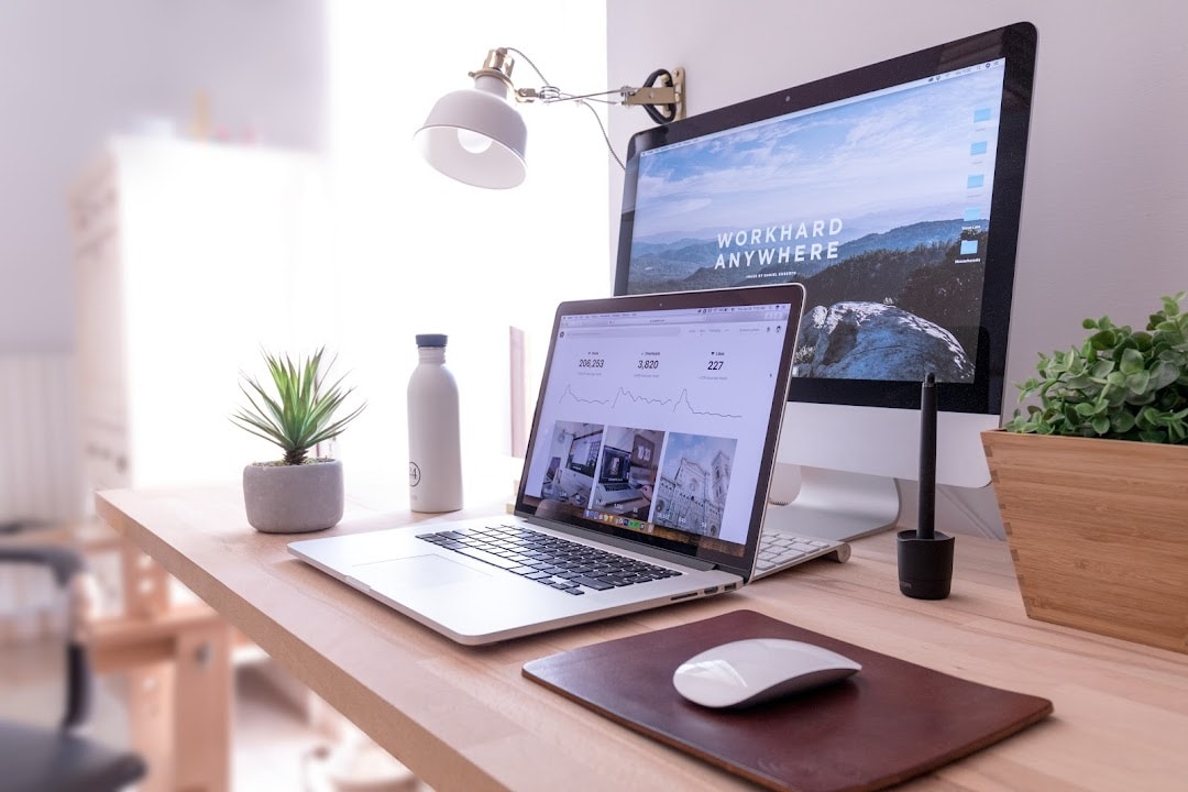 Wild Paradise Design — Website Designers in Mount Maunganui