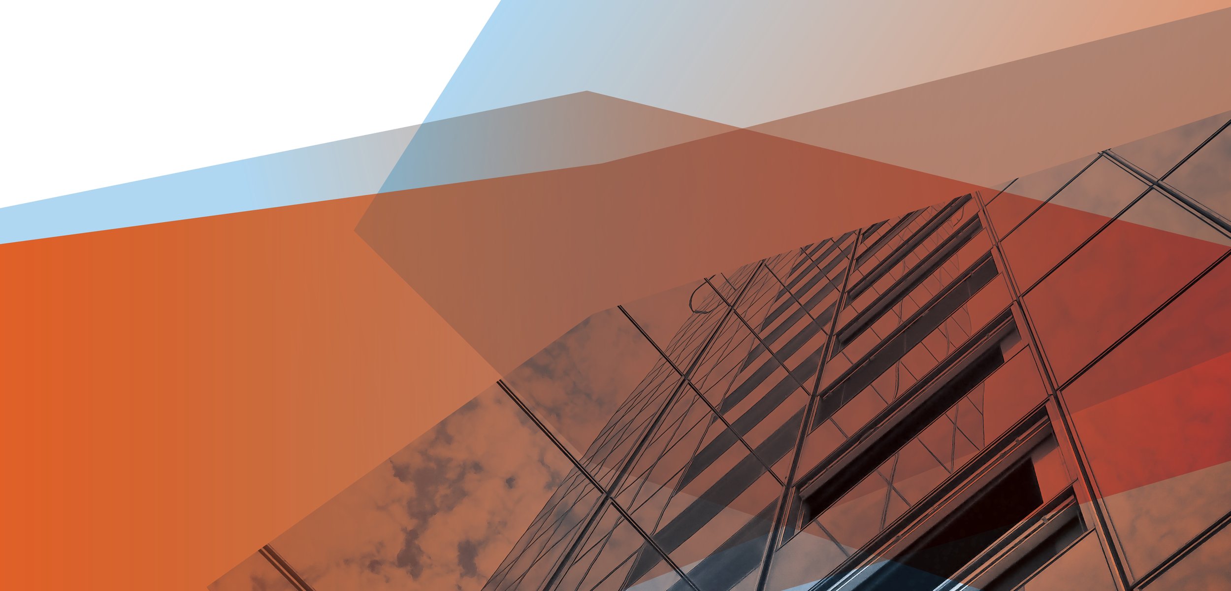 Frank Risk Management — Insurance Services in Matamata