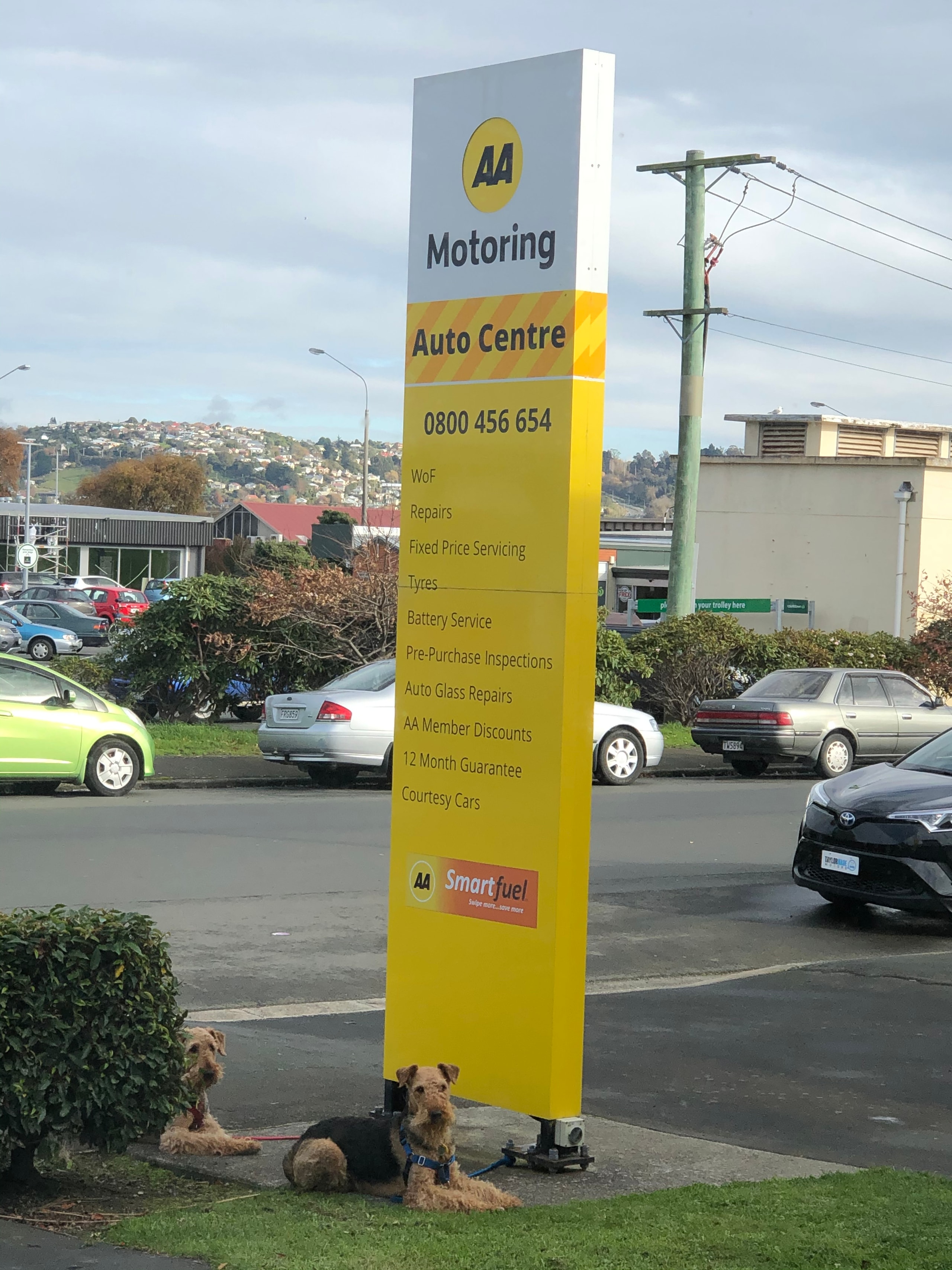 AA Auto Centre — Automotive Services in Dunedin
