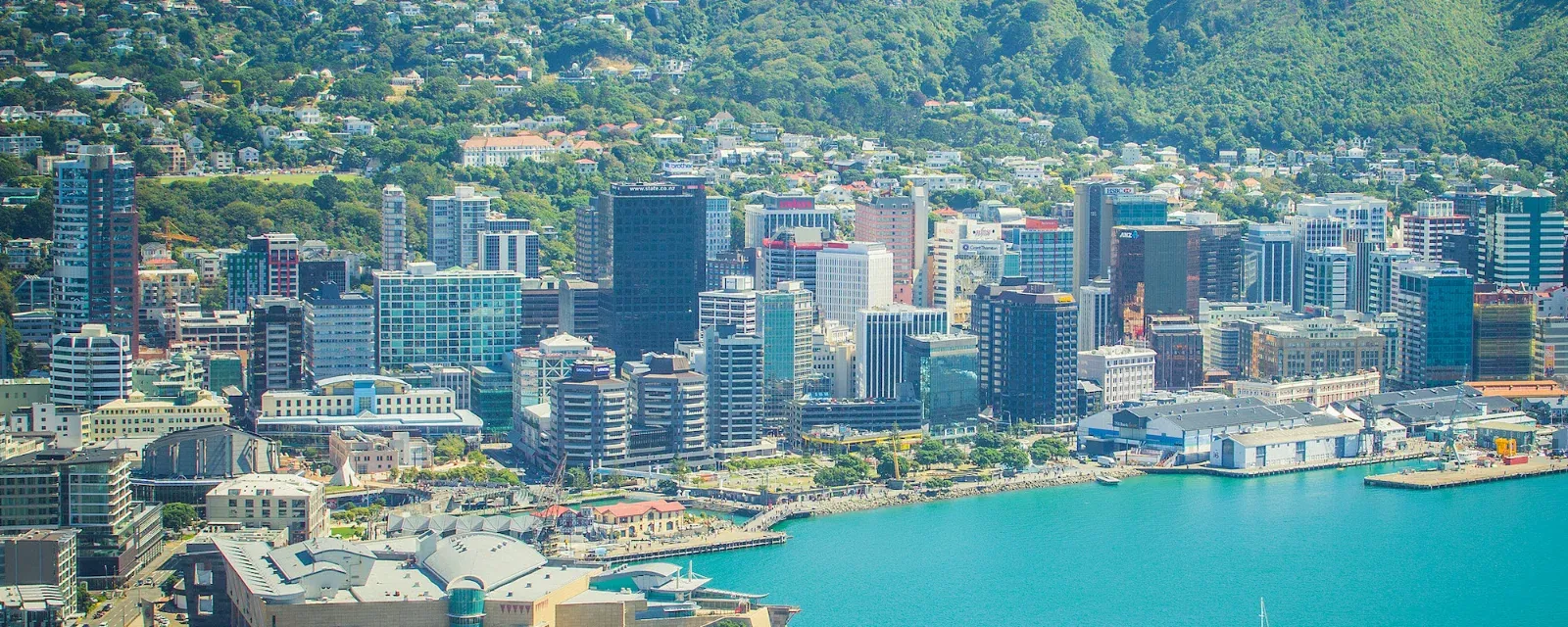 CBRE Wellington — Real Estate Agents in Wellington